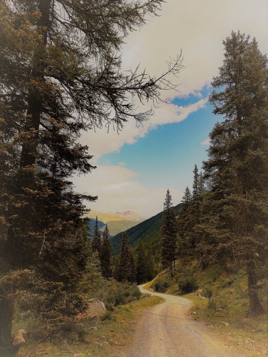 Natur und Begleitung