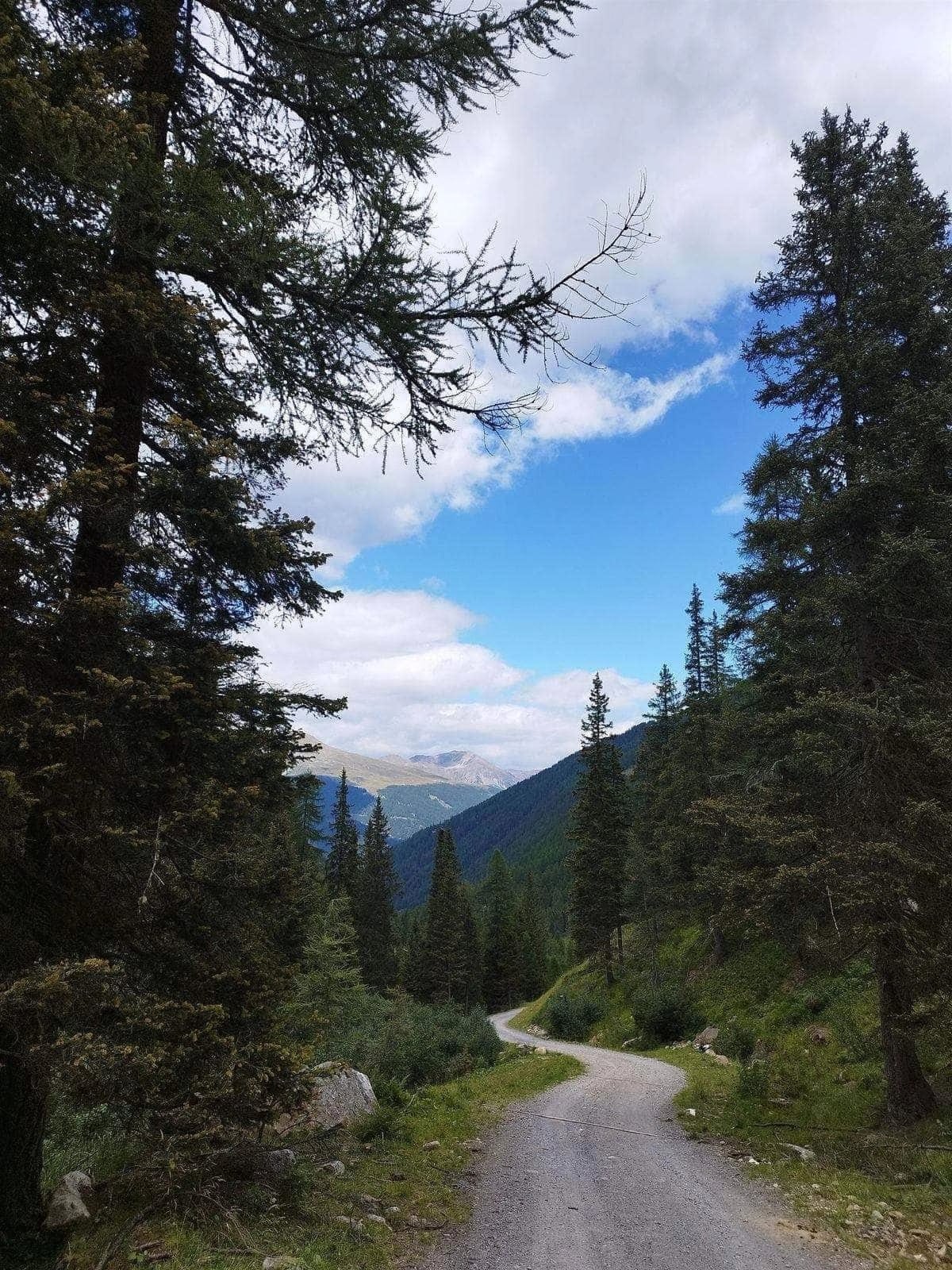 Berglandschaft mit Weg